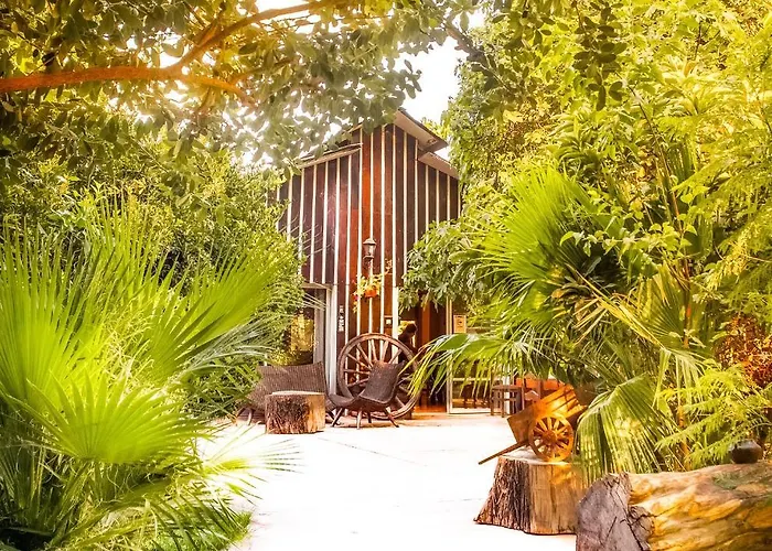 Barros Wellness & Spa Resort